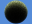 Above the canopy.jpg [1236 octets]
